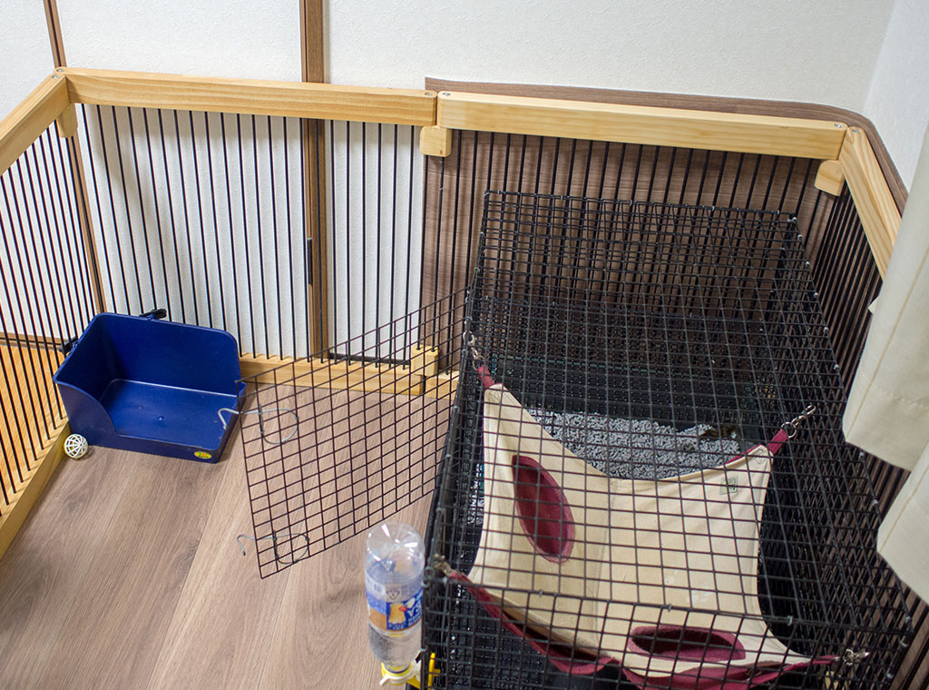 f:id:rokuzeudon:20180121100525j:plain