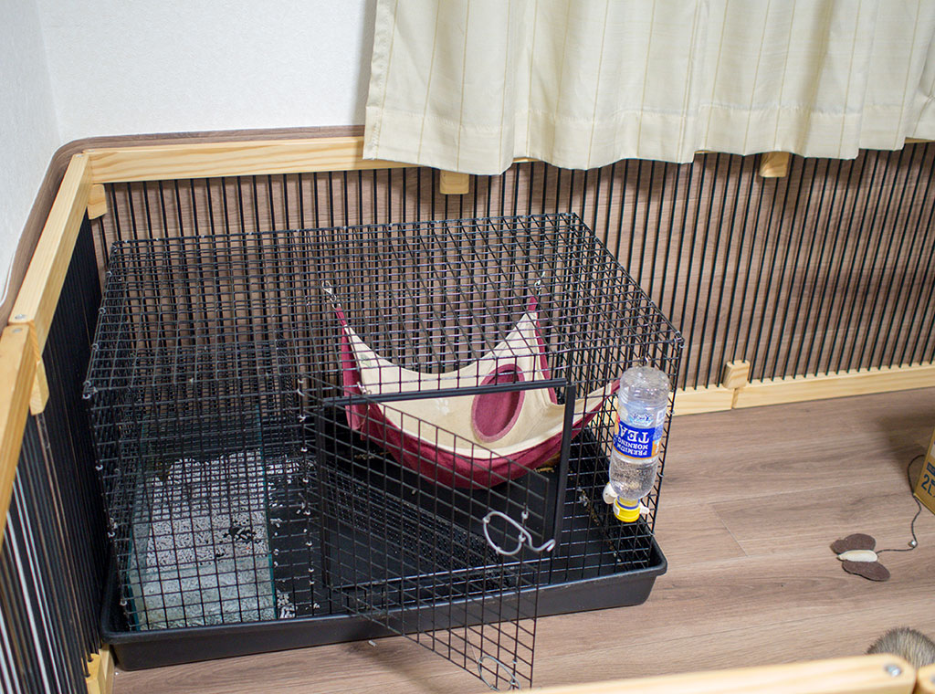 f:id:rokuzeudon:20180121100530j:plain