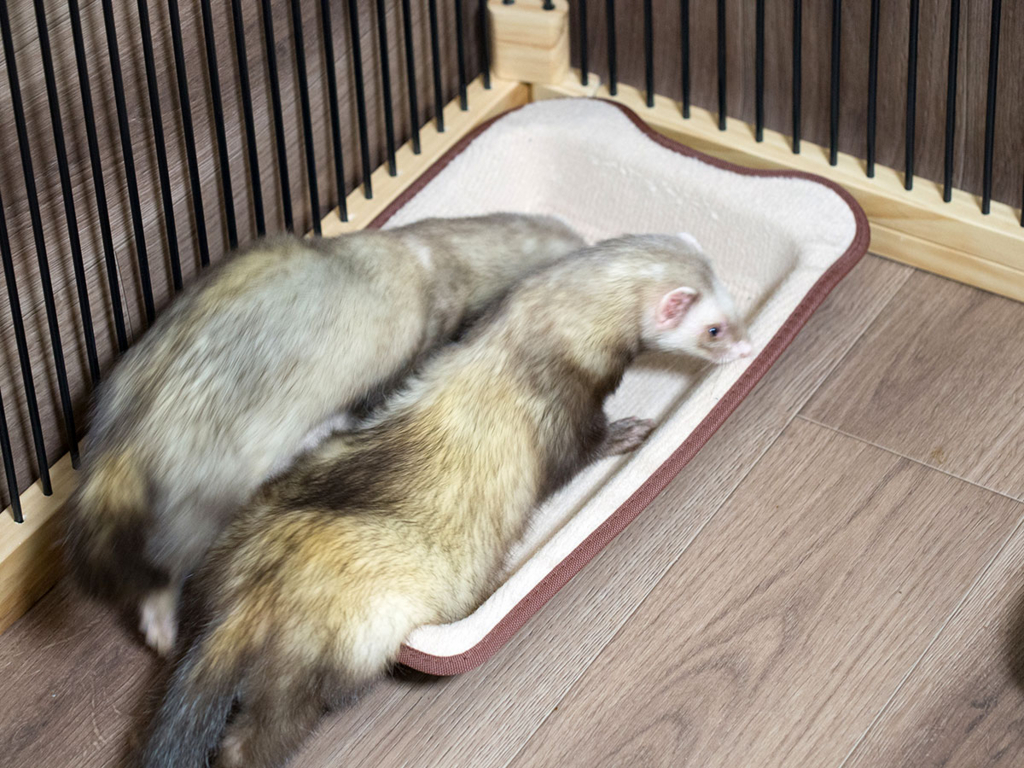 f:id:rokuzeudon:20180210014451j:plain