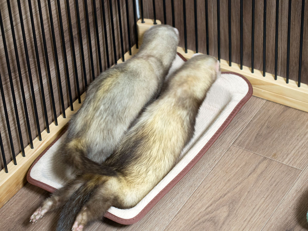 f:id:rokuzeudon:20180210014501j:plain