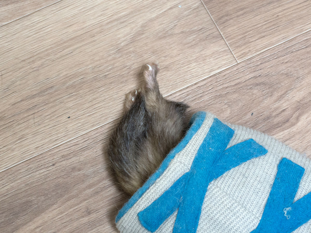 f:id:rokuzeudon:20180210014525j:plain