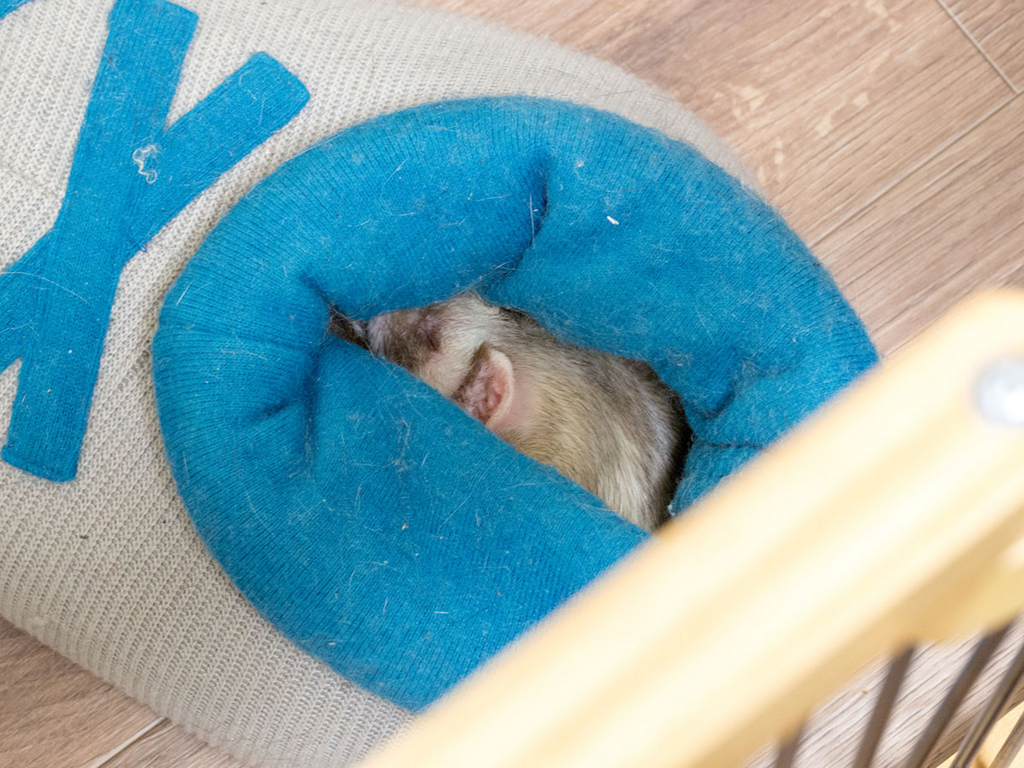 f:id:rokuzeudon:20180210015359j:plain