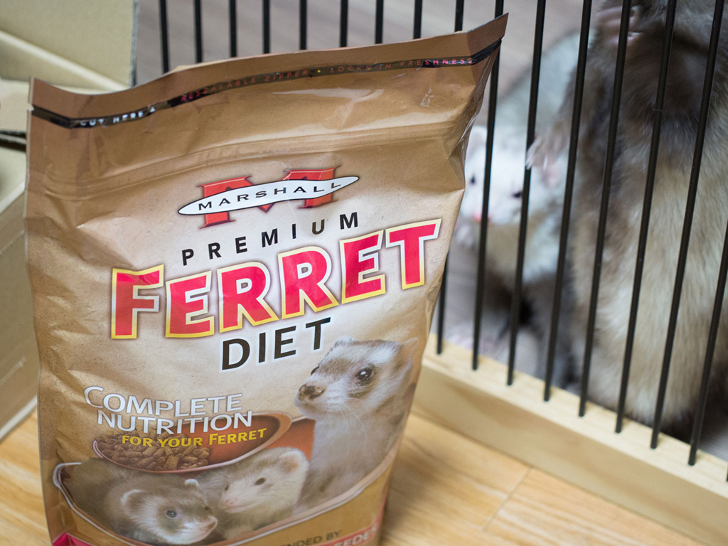 f:id:rokuzeudon:20180218000402j:plain