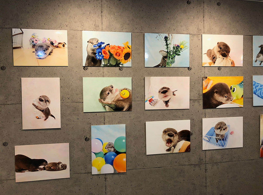 f:id:rokuzeudon:20180304120437j:plain