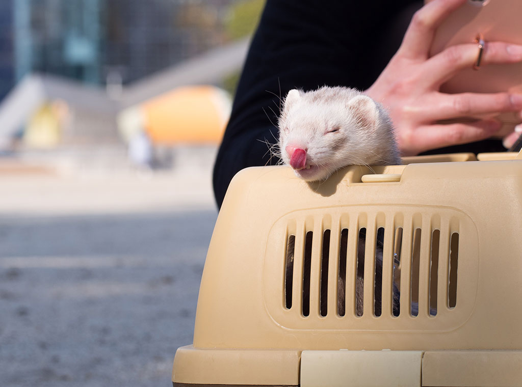 f:id:rokuzeudon:20180311184122j:plain