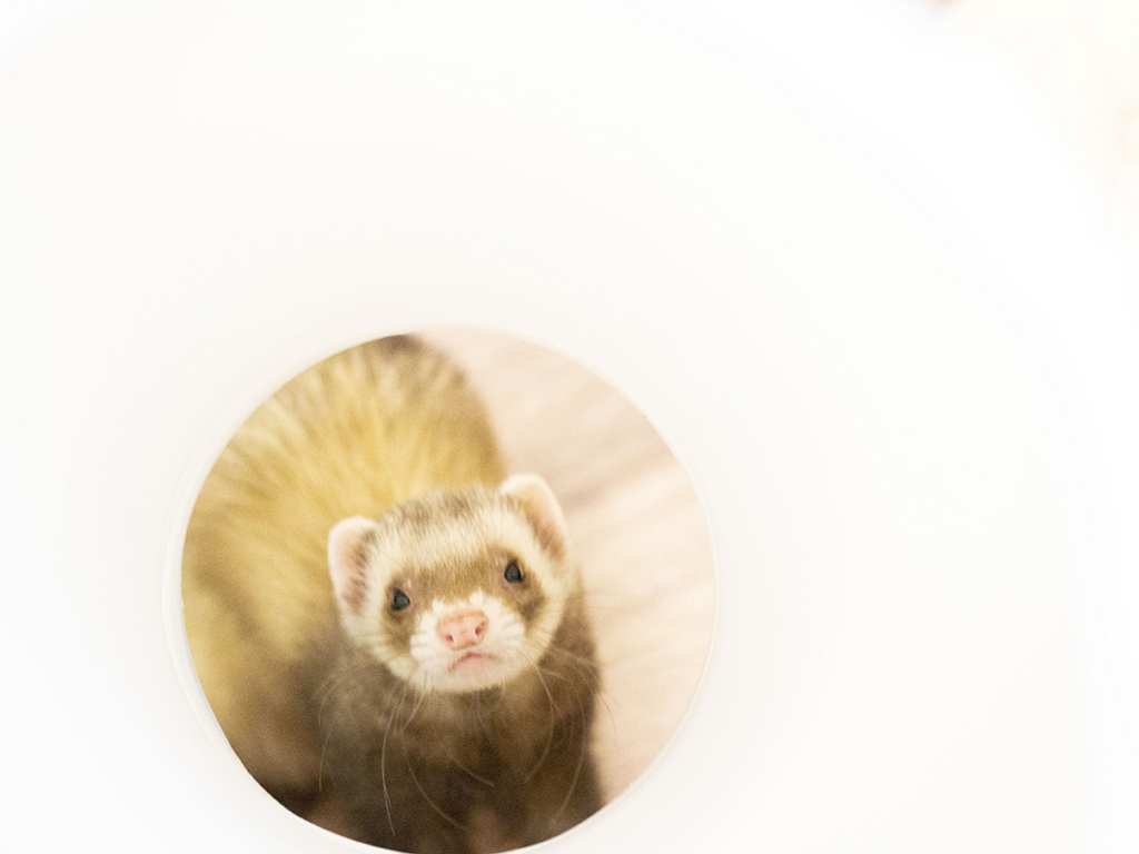 f:id:rokuzeudon:20180408002058j:plain f:id:rokuzeudon:20180408002058j:plain