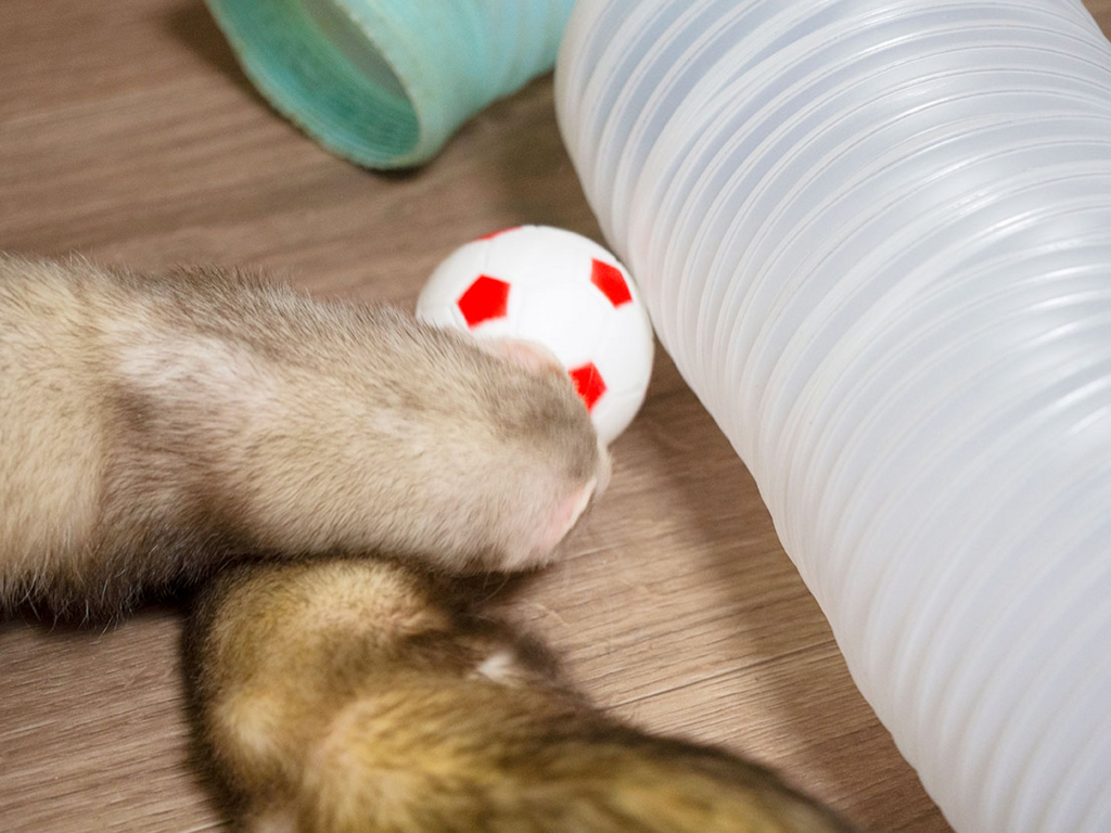 f:id:rokuzeudon:20180505125219j:plain