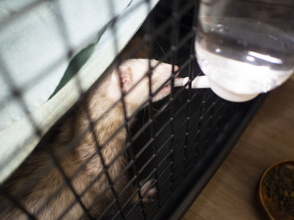 f:id:rokuzeudon:20180726123528j:plain