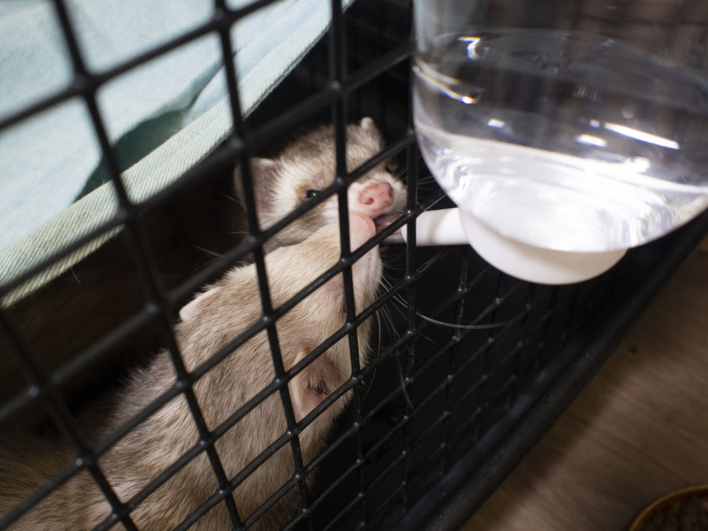 f:id:rokuzeudon:20180726123601j:plain