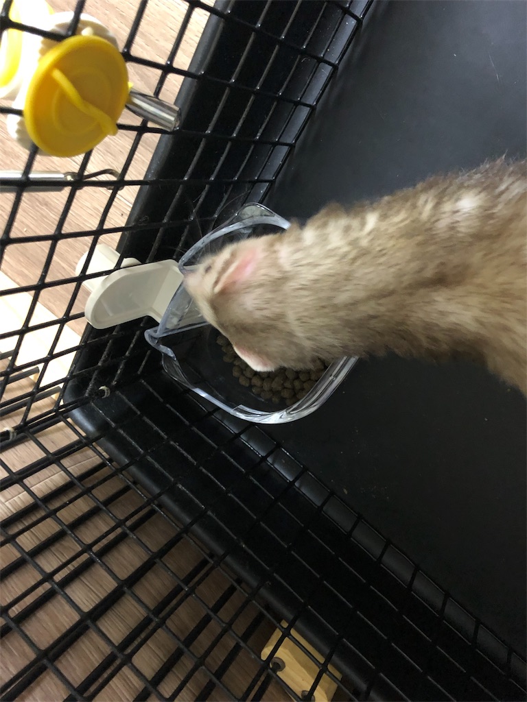 f:id:rokuzeudon:20180805220715j:image