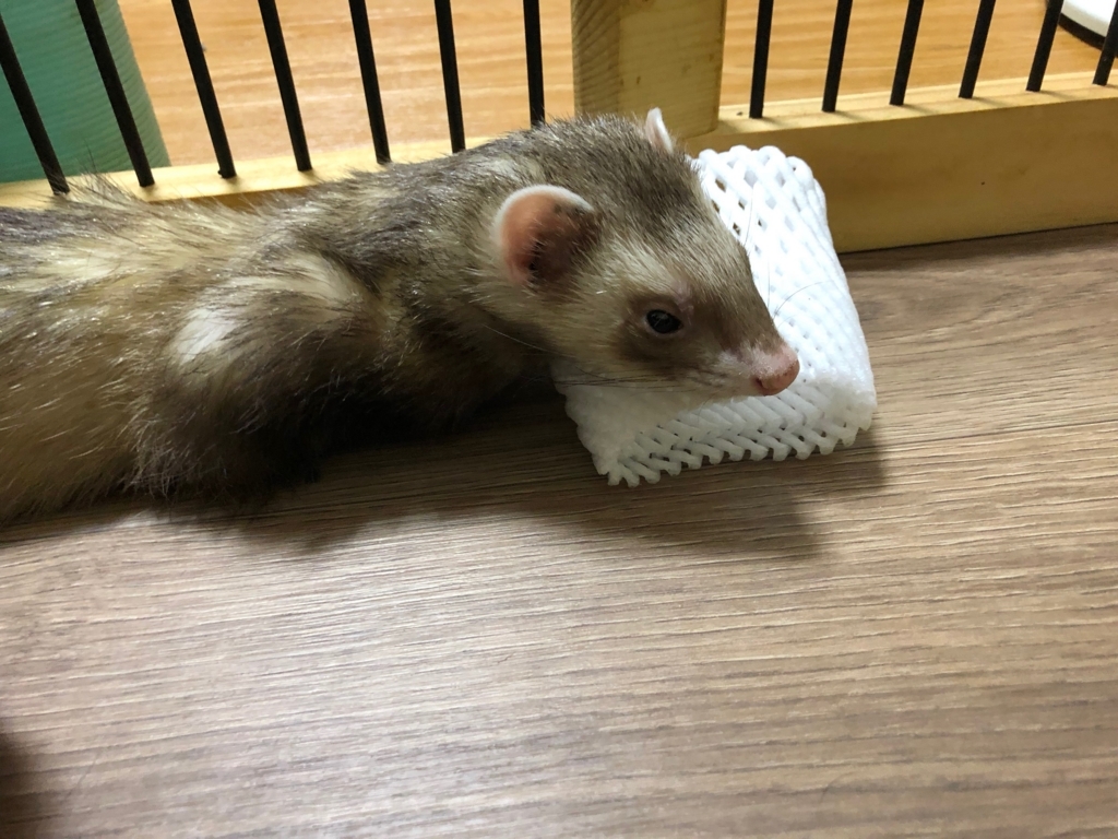 f:id:rokuzeudon:20180815084341j:plain