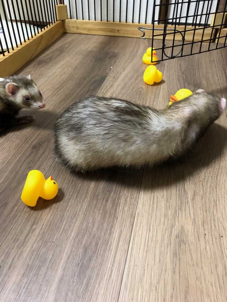 f:id:rokuzeudon:20180815084445j:plain