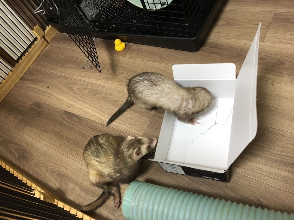 f:id:rokuzeudon:20180815084538j:plain