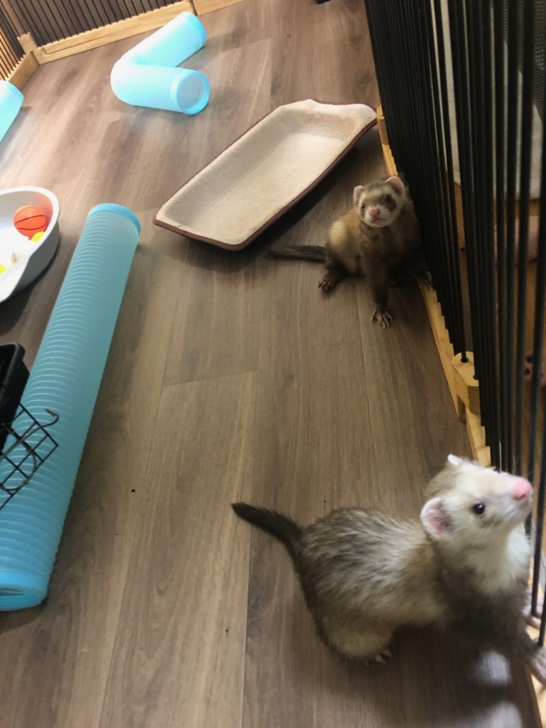 f:id:rokuzeudon:20180815084651j:plain