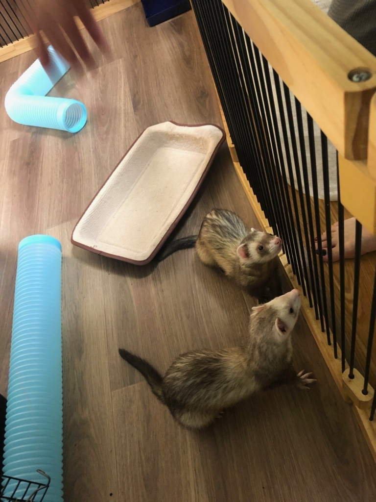 f:id:rokuzeudon:20180815084708j:plain