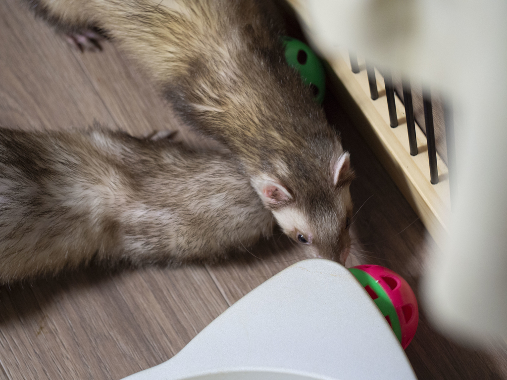 f:id:rokuzeudon:20180909182353j:plain