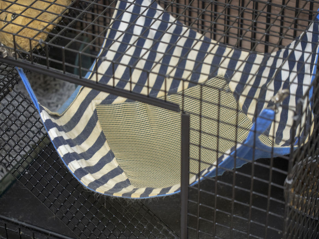 f:id:rokuzeudon:20180916215621j:plain