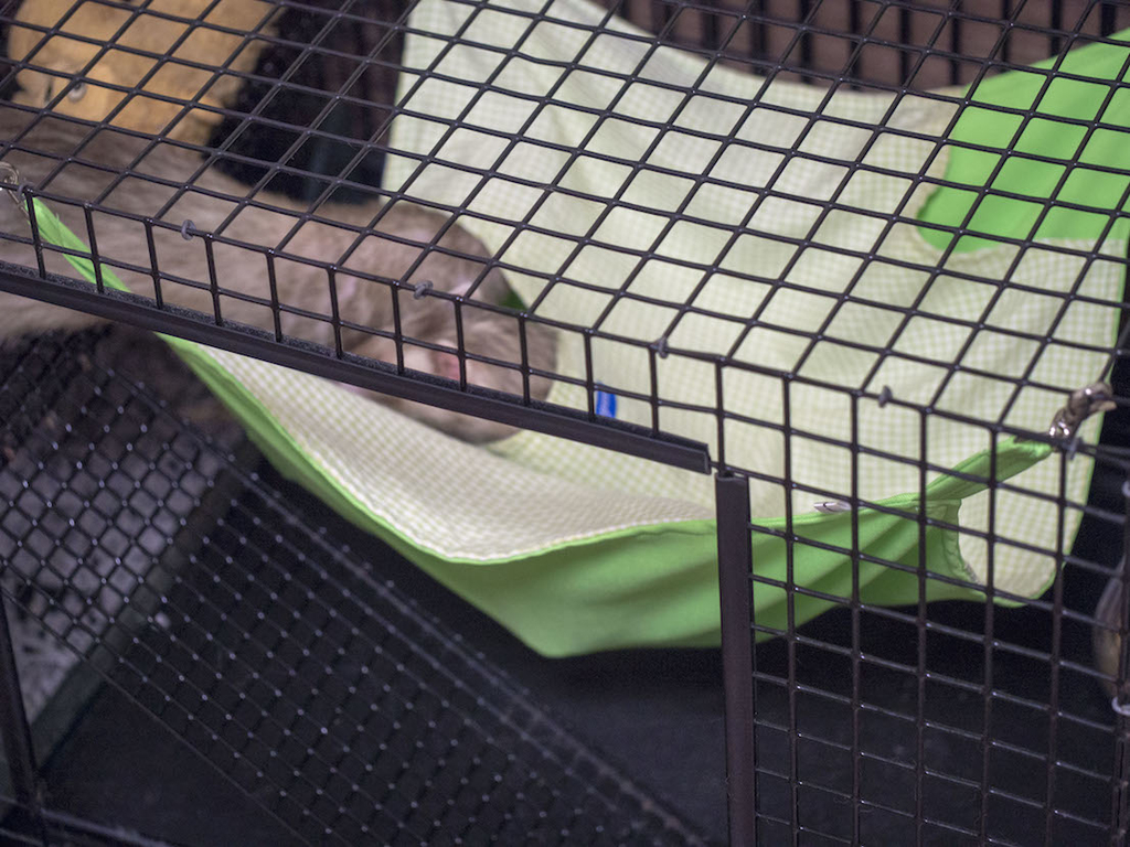 f:id:rokuzeudon:20180916220947j:plain