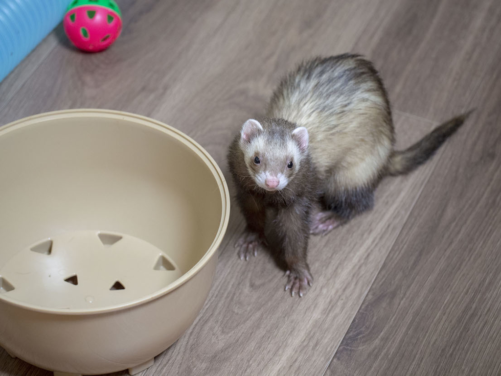 f:id:rokuzeudon:20180916221359j:plain