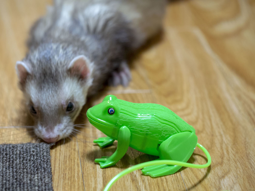 f:id:rokuzeudon:20180923234201j:plain