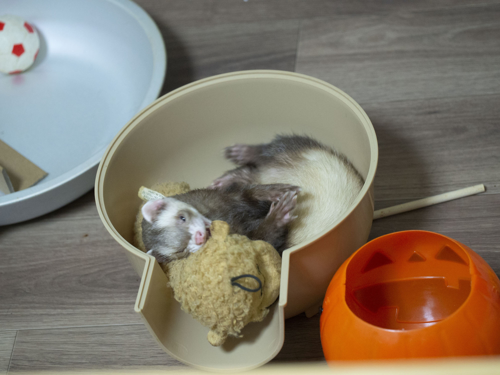 f:id:rokuzeudon:20181007111343j:plain