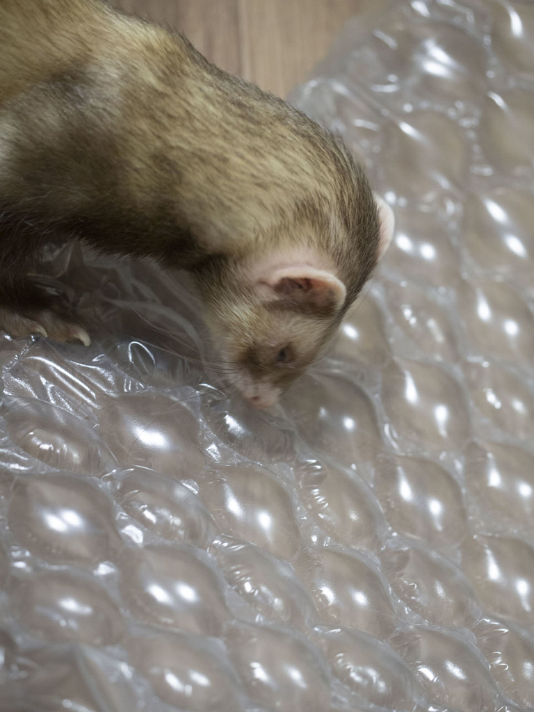 f:id:rokuzeudon:20181014133606j:plain