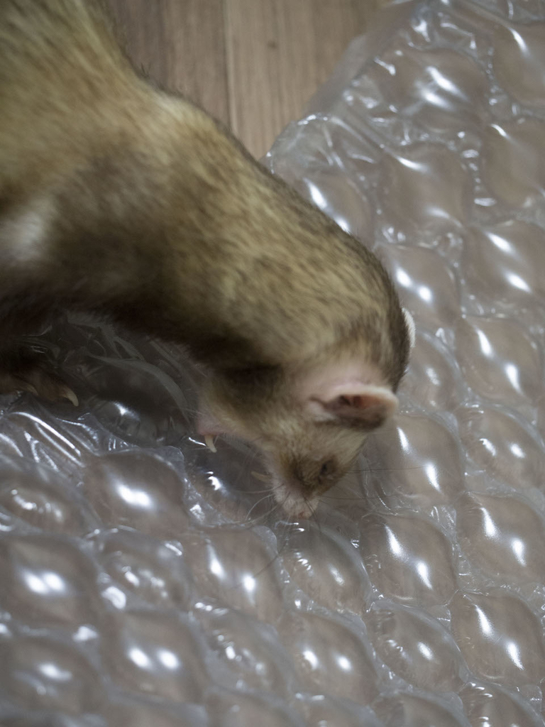 f:id:rokuzeudon:20181014133611j:plain