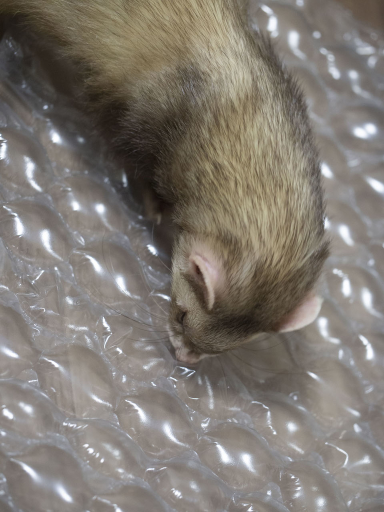 f:id:rokuzeudon:20181014133626j:plain