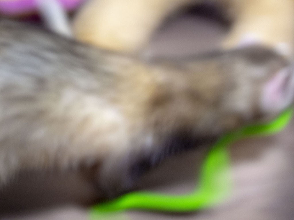 f:id:rokuzeudon:20181208111942j:plain