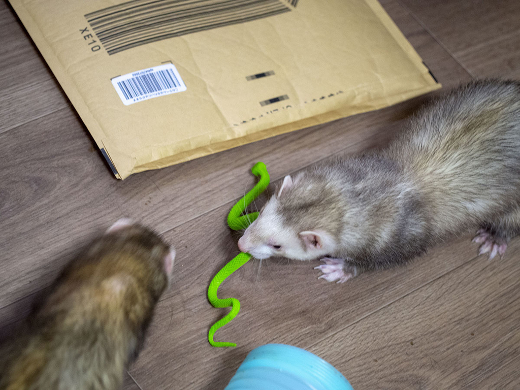 f:id:rokuzeudon:20181208111948j:plain