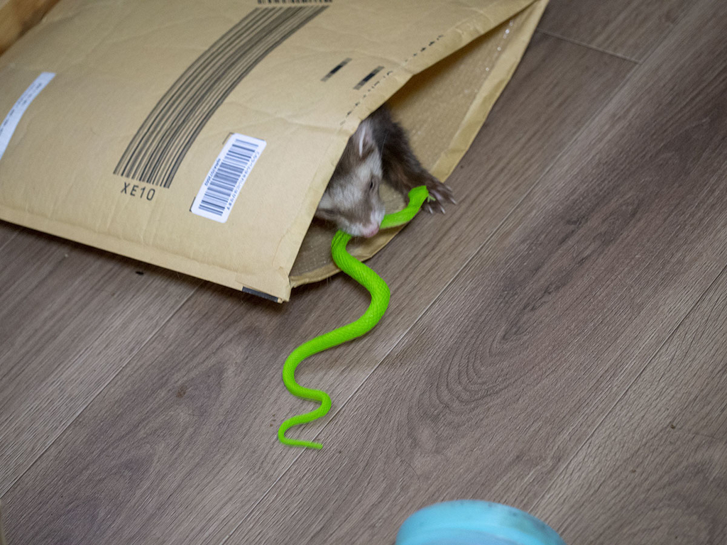 f:id:rokuzeudon:20181208112012j:plain