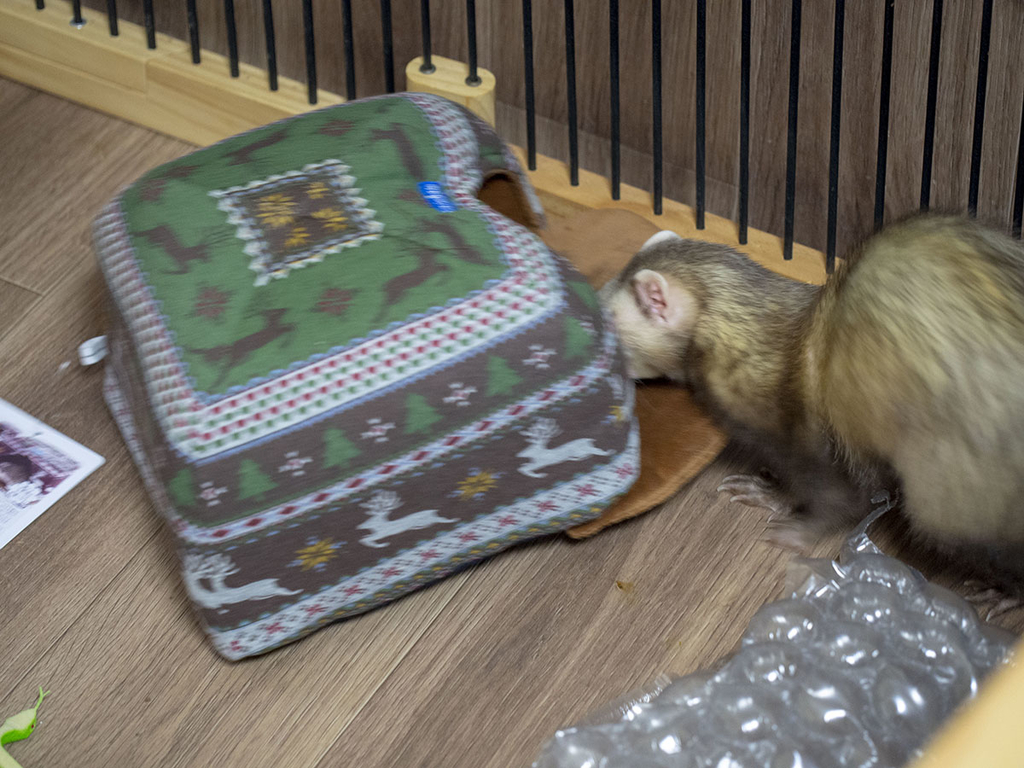 f:id:rokuzeudon:20181223010934j:plain
