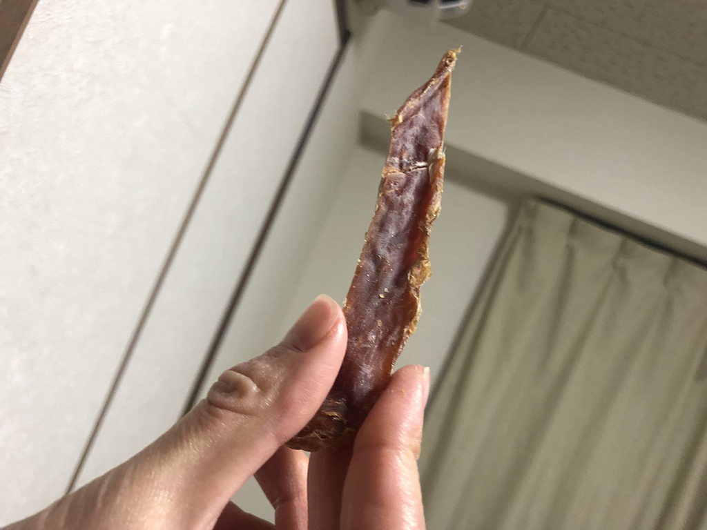 f:id:rokuzeudon:20181223013039j:plain