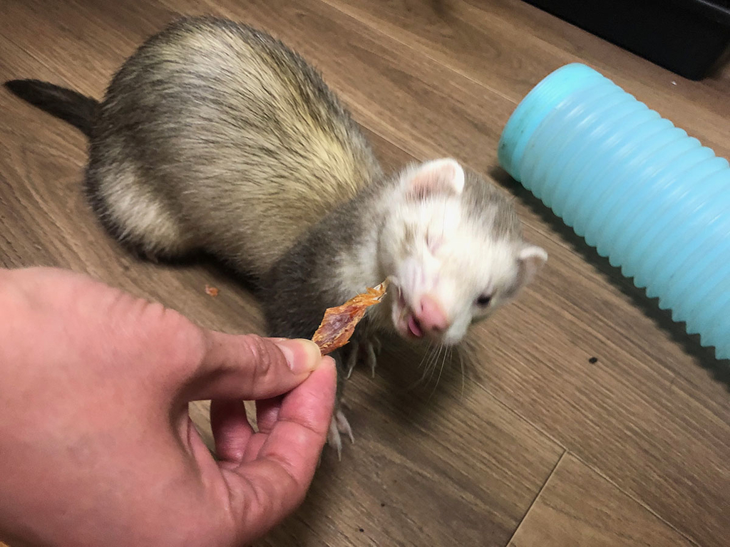 f:id:rokuzeudon:20181223013203j:plain