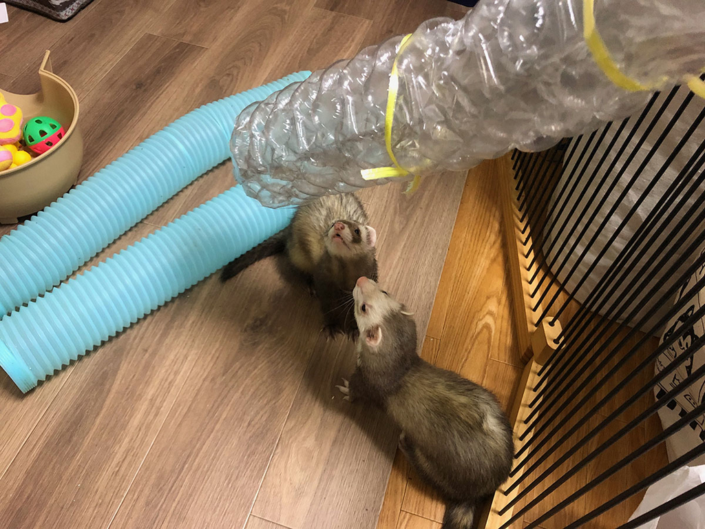 f:id:rokuzeudon:20181223020844j:plain