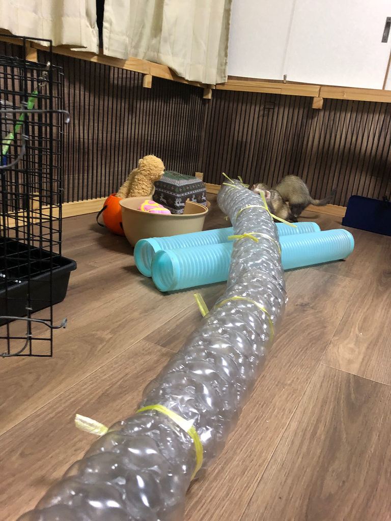 f:id:rokuzeudon:20181223020849j:plain