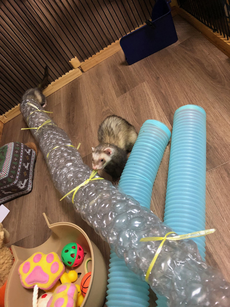 f:id:rokuzeudon:20181223020855j:plain