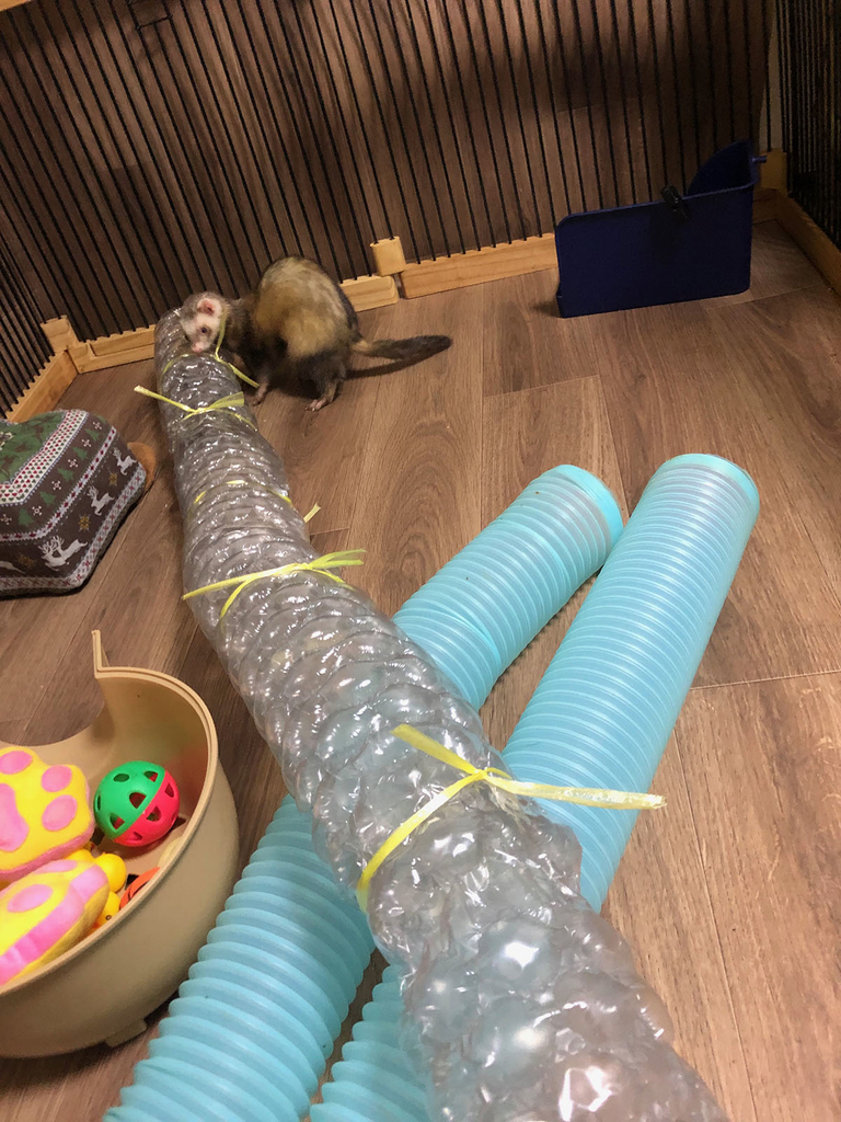 f:id:rokuzeudon:20181223020900j:plain