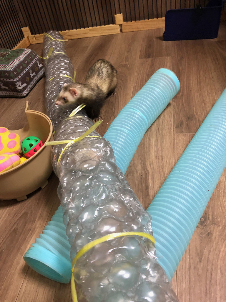 f:id:rokuzeudon:20181223020907j:plain