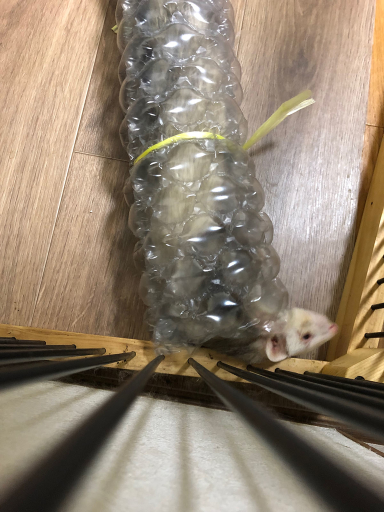 f:id:rokuzeudon:20181223020916j:plain