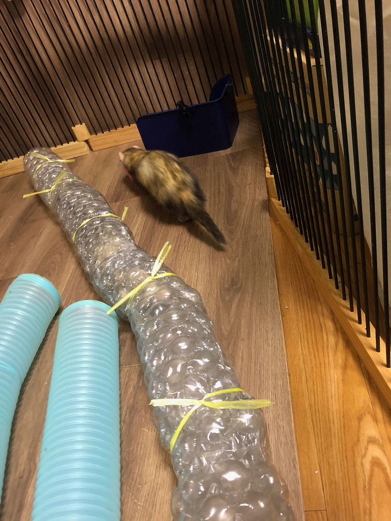 f:id:rokuzeudon:20181223020926j:plain