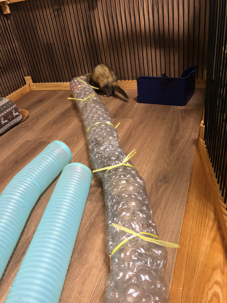 f:id:rokuzeudon:20181223020932j:plain