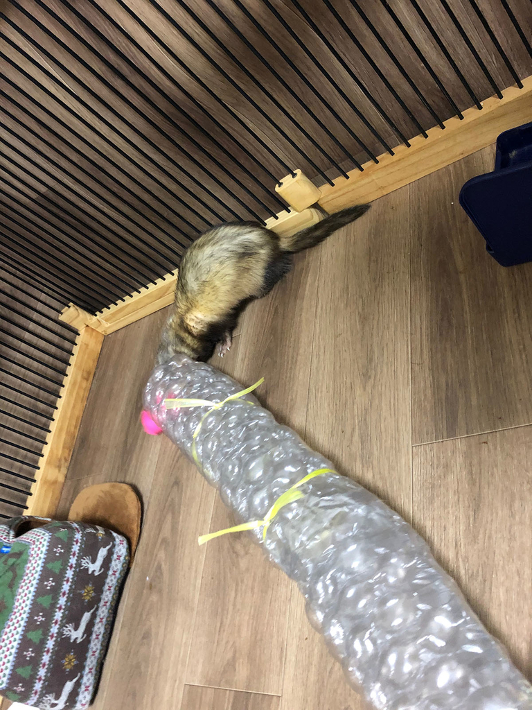 f:id:rokuzeudon:20181223020937j:plain