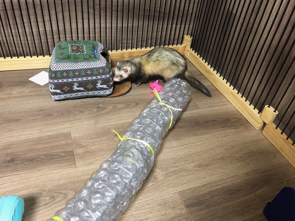 f:id:rokuzeudon:20181223020942j:plain