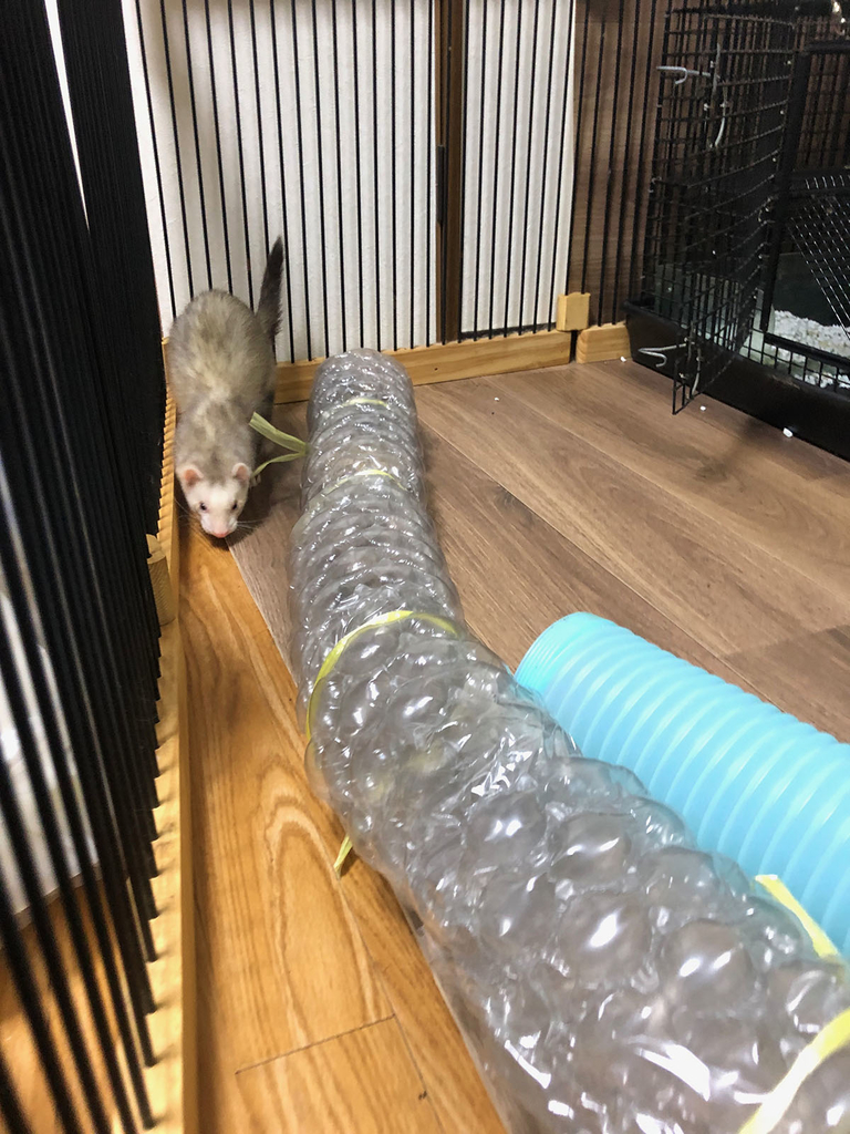 f:id:rokuzeudon:20181223020946j:plain