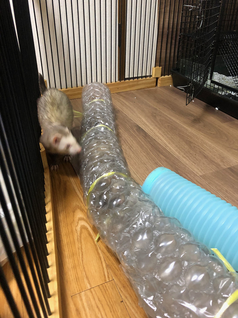 f:id:rokuzeudon:20181223020951j:plain