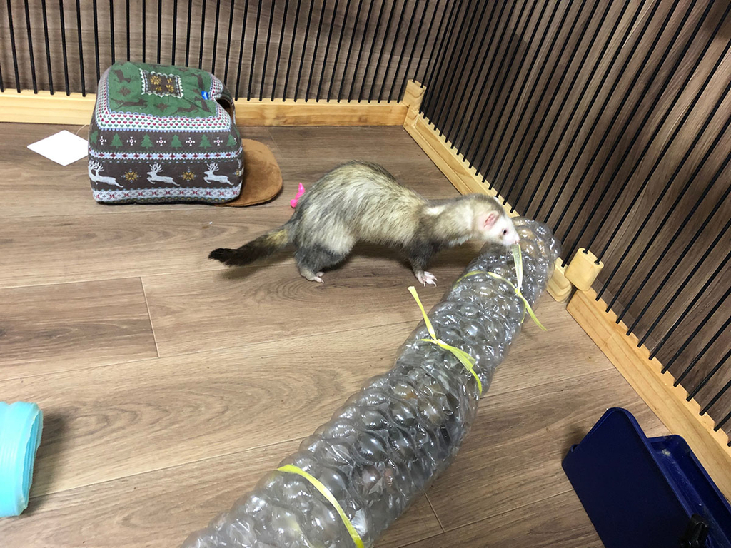 f:id:rokuzeudon:20181223021002j:plain