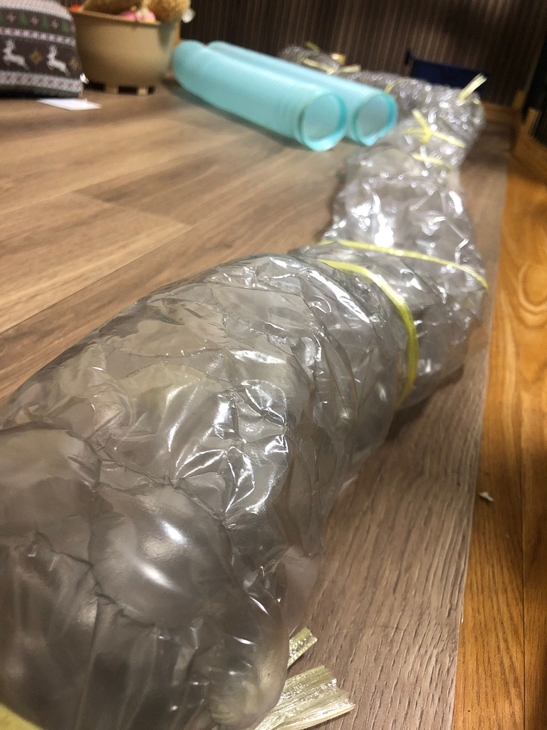 f:id:rokuzeudon:20181223021018j:plain