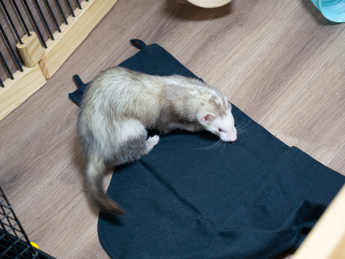 f:id:rokuzeudon:20190418193055j:plain