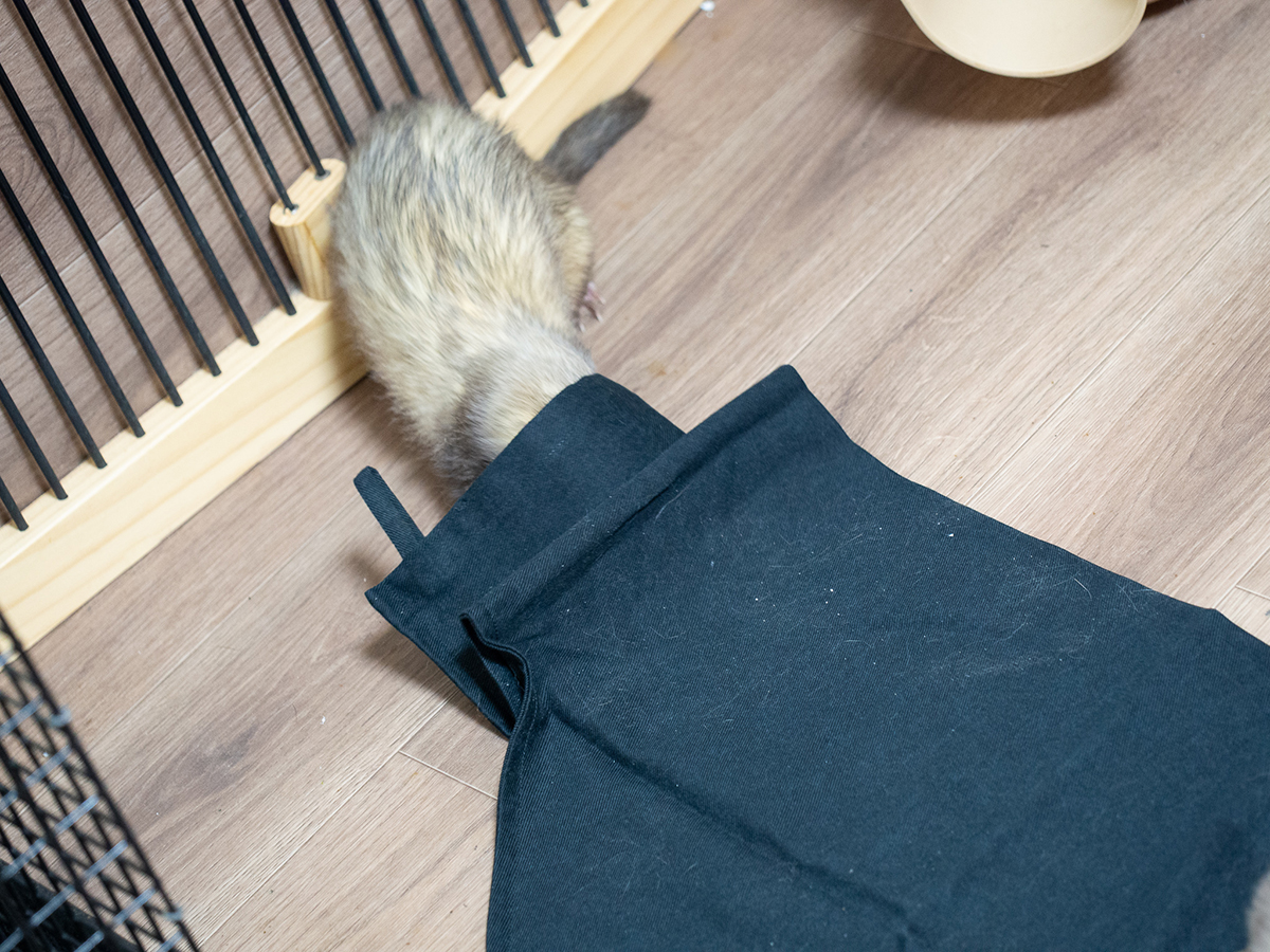 f:id:rokuzeudon:20190418193103j:plain